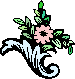 Blomst